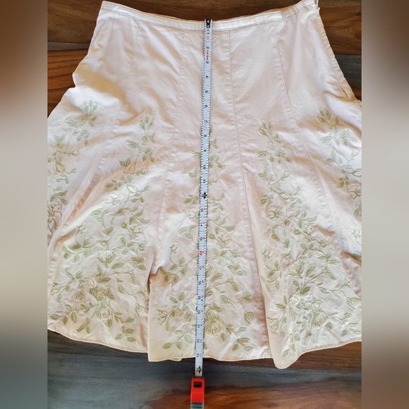 Express, Ladies Embroided Skirt Size 8, Pale Pink, Pale Soft Green, Lined - Picture 3 of 7